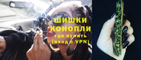 хмурый Магас