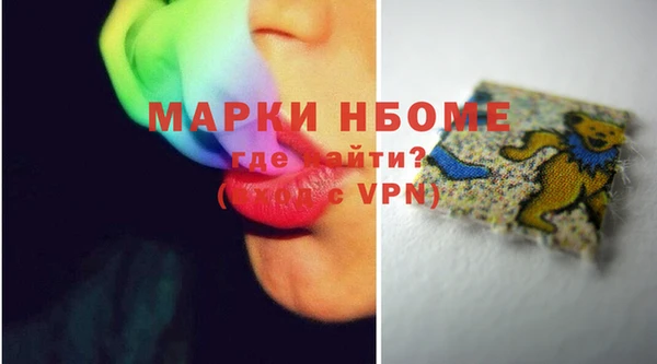 хмурый Магас