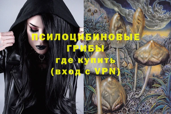 хмурый Магас