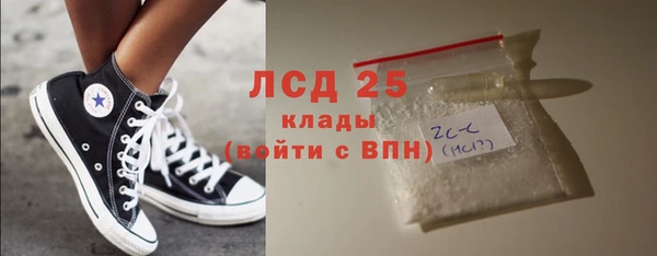 хмурый Магас