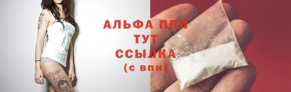 хмурый Магас
