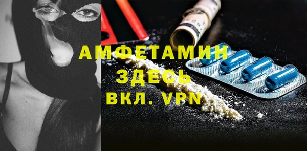 хмурый Магас