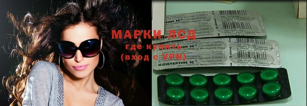 хмурый Магас
